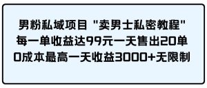 男粉私域项目 卖男士私密教程 每一单收益达99元一天售出20单-课界网