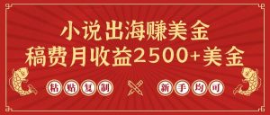 小说出海赚美金，稿费月收益2500+美金，仅需chatgpt粘贴复制，新手也能玩转-课界网