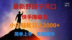 最新风口！快手撸磁力，野路子，小白无脑操作日入2000+-课界网