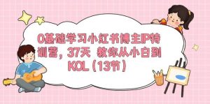 0基础学习小红书博主IP特训营，37天 教你从小白到KOL（13节）-课界网