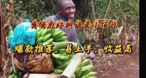 奥德彪经典语录小项目，爆款推荐，易上手，收益高-课界网