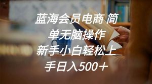 蓝海会员电商 简单无脑操作 新手小白轻松上手日入500＋-课界网