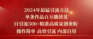 2024年最猛暴力引流方法,单条作品百万播放 单日引流500+高质量精准创业粉-课界网