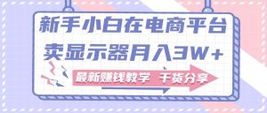 新手小白如何做到在电商平台卖显示器月入3W+，最新赚钱教学干货分享-课界网