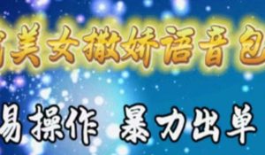 车载美女撒娇语音包，执行就出单，月入3000＋，小白看完课程就能马上实操-课界网