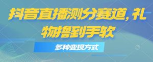 抖音直播测分赛道，多种变现方式，轻松日入1000+-课界网