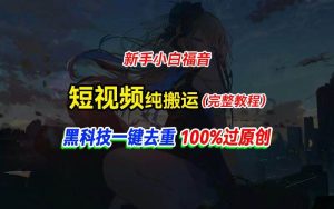 中视频计划纯搬运，黑科技一键去重过原创，新手小白福音，轻松日入大几百-课界网