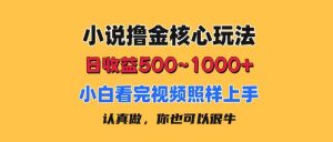 小说撸金核心玩法，日收益500-1000+，小白看完照样上手，0成本有手就行-课界网