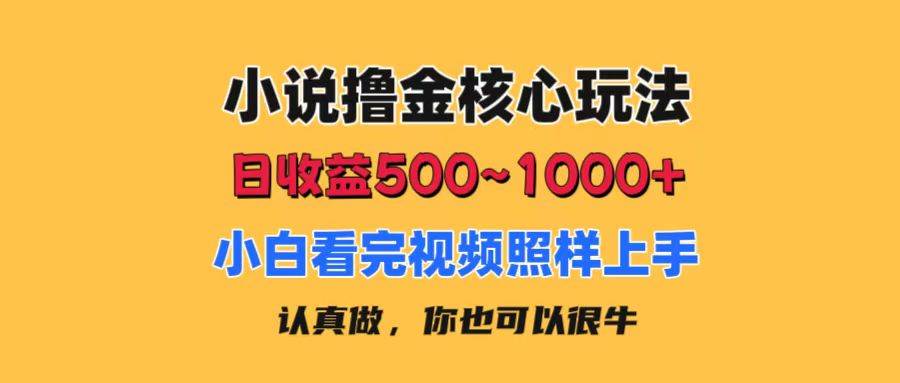 小说撸金核心玩法，日收益500-1000+，小白看完照样上手，0成本有手就行-课界网