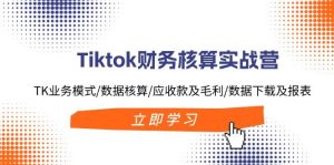Tiktok财务核算实战营：TK业务模式/数据核算/应收款及毛利/数据下载及报表-课界网